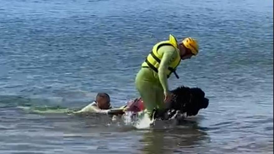El perro socorrista 'Urko' saca a un bañista del agua en un simulacro en Puerto del Carmen.