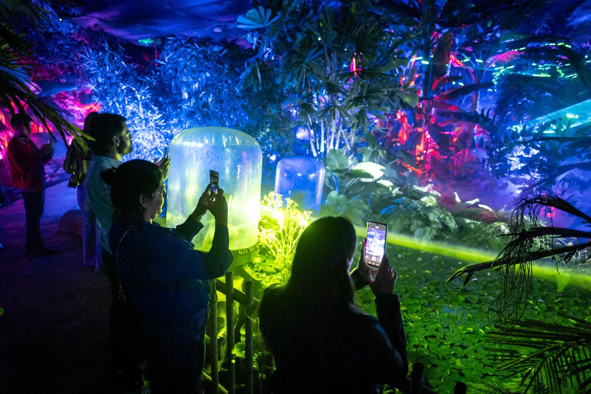 Inauguración de Naturaleza Encendida