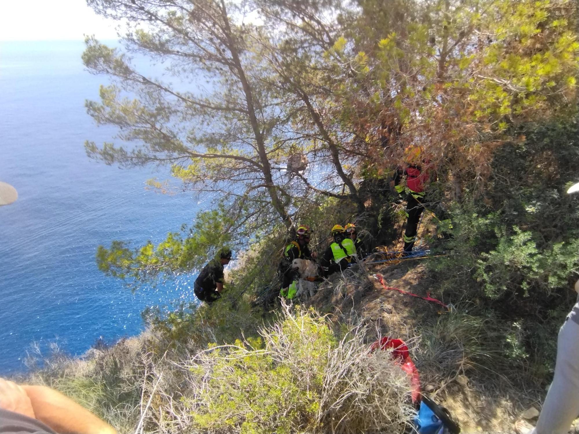 Las imágenes del rescate del perro que ha caído de 30 metros en el acantilado de Xàbia