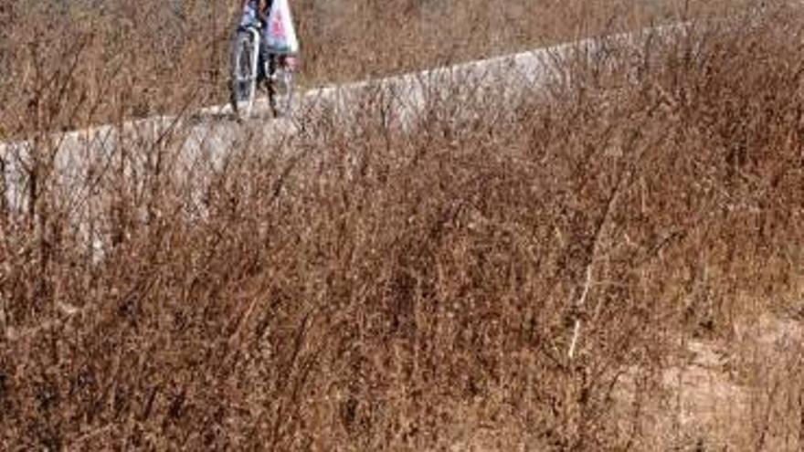 Un agricultor circula junto a un campo arrasado por la sequía.