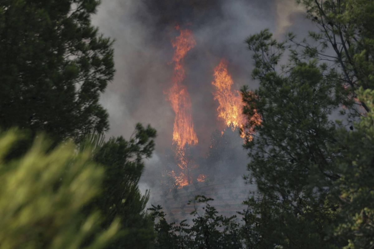 La Vall d'Uixó VLC Incendio. Vecinos ven como las llamas se acercan a sus casas