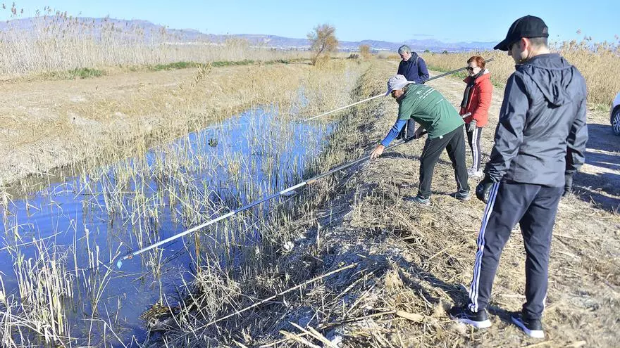 Voluntarios retiran plásticos de El Hondo en Elche por el Día de los Humedales