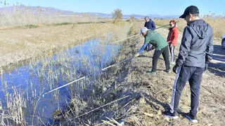 Voluntarios acaban con la amenaza de plásticos en las nuevas charcas de El Hondo