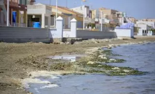 La Comunidad vuelve a instar a Ribera a que ‘pinche’ el acuífero del Mar Menor