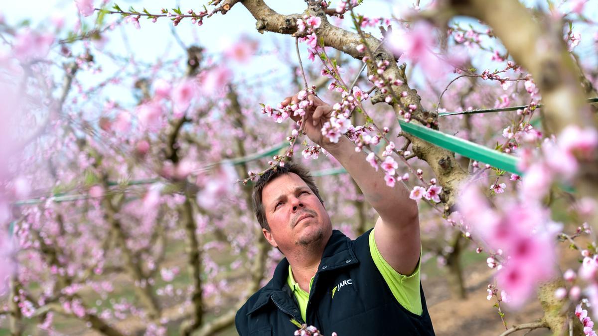 Sergi Balué, agricultor de Alcarràs, trabajando en sus campos frutales. 4 Marzo 2022. Foto Jordi V. Pou