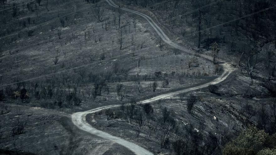 La peor semana de incendios pulveriza solo en Ourense la media de diez años en toda Galicia