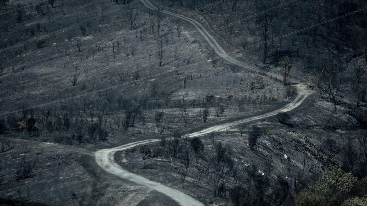 Monte arrasado por el fuego en el municipio de Rubiá.