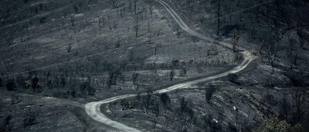 Monte arrasado por el fuego en el municipio de Rubiá.