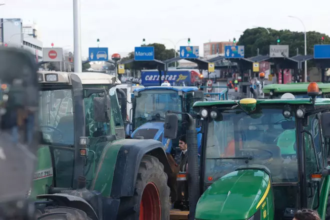 La transición del campo