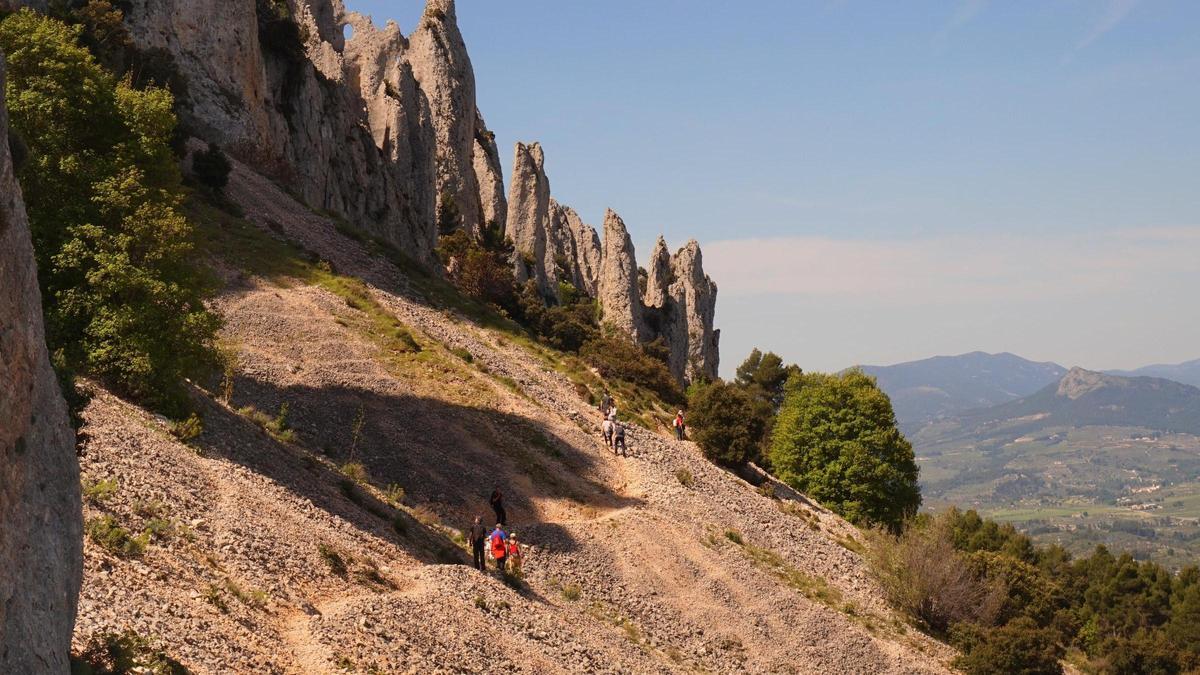 La ciencia ambiental tarda una media de siete años en incorporarse a las políticas internacionales, según un estudio liderado por la UA