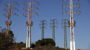 Els Vint-i-set pacten reduir un 5% la demanda elèctrica en hores de màxim consum