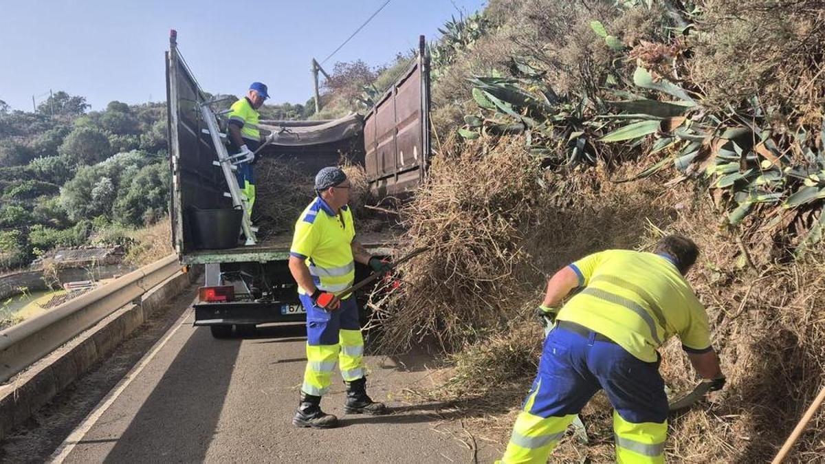 Trabajadores del servicio público de Las Palmas de Gran Canaria realizan trabajos de desbroce en el tramo de carretera a La Milagrosa.