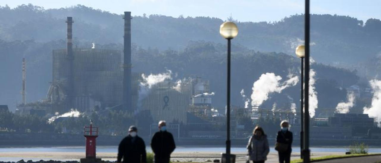 La planta de Ence en Lourizán vista desde Lourido durante su última parada técnica.  // GUSTAVO SANTOS