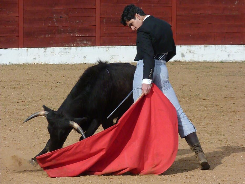 Bolsín Taurino de Fuentesaúco