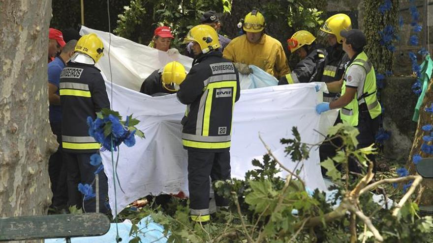 13 muertos al caer un árbol en una procesión