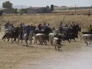 GALERÍA | Multitudinario encierro en la pradera de Guarrate