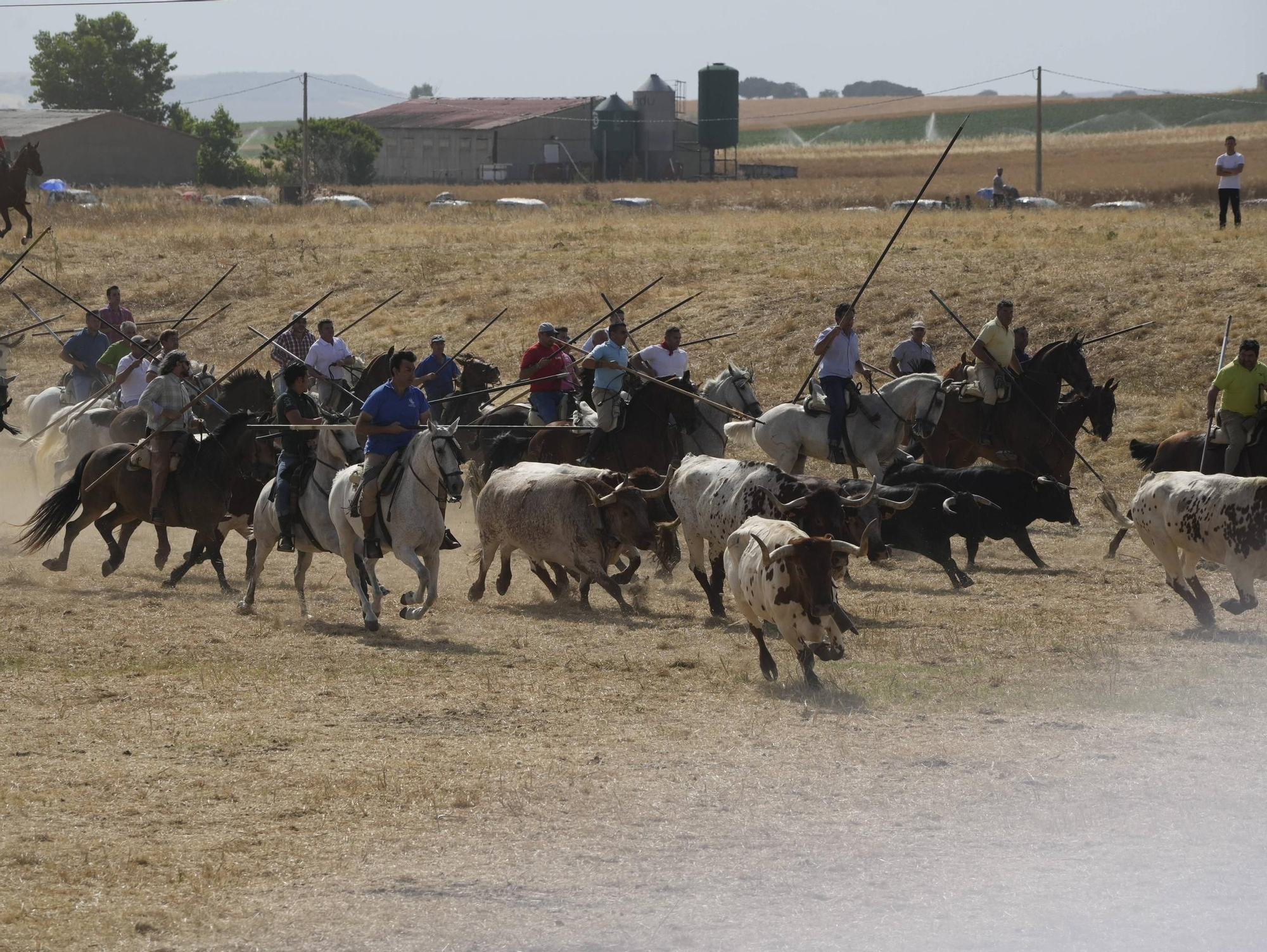GALERÍA | Multitudinario encierro en la pradera de Guarrate