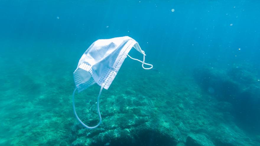 Pandemia de mascarillas en los mares: así se infiltran en nuestro cuerpo