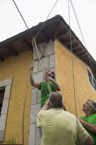 Celoriu planta su hoguera