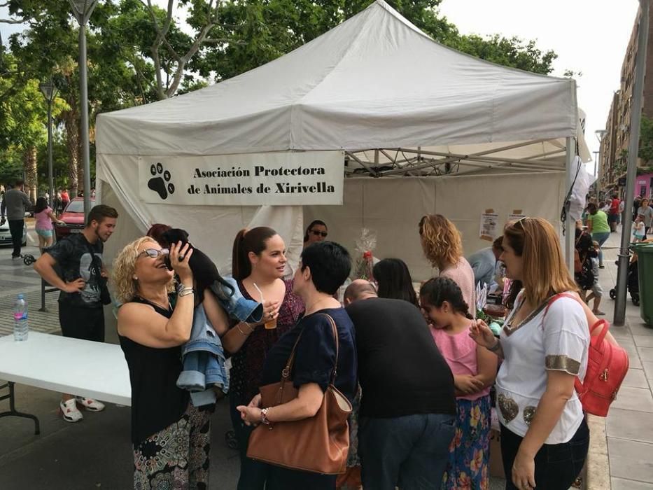 La protectora APAX en Xirivella al Carrer.