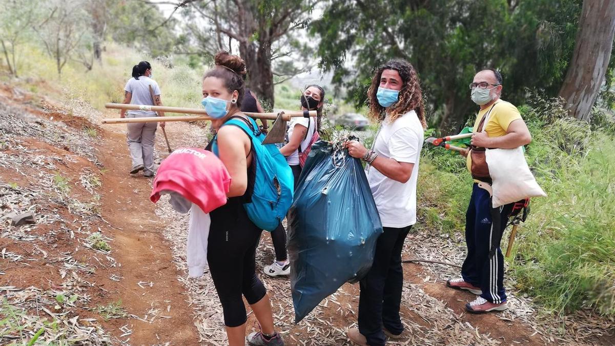 Acción medioambiental de control y eliminación de plantas invasoras en la Montaña de Firgas