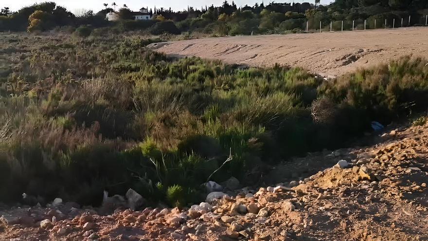  metros cuadrados de saladar protegido con tierra a 150 metros de la orilla de la laguna de Torrevieja, en el parque natural