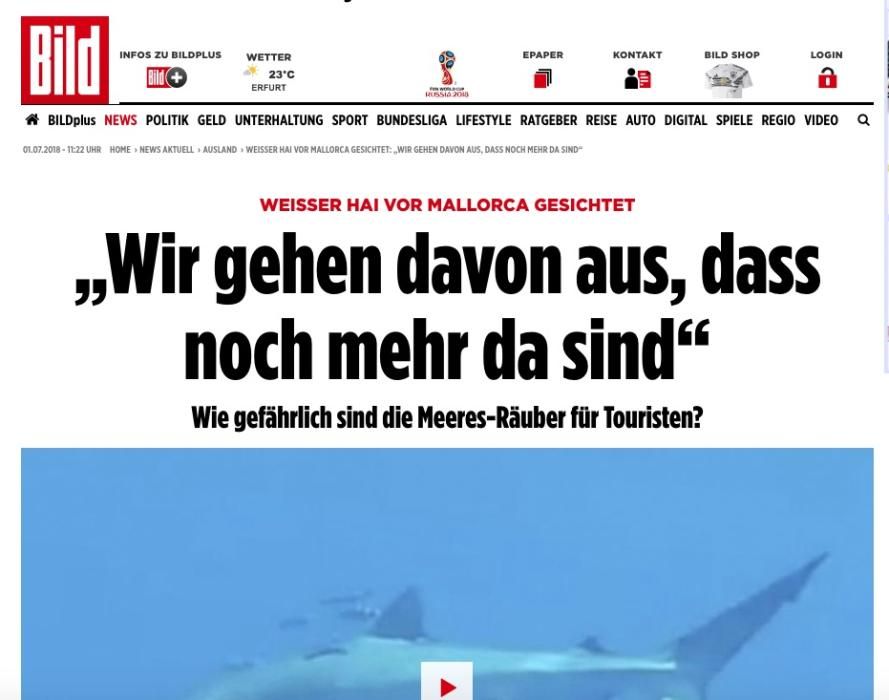 El tiburón blanco avistado en Cabrera, en la prensa europea