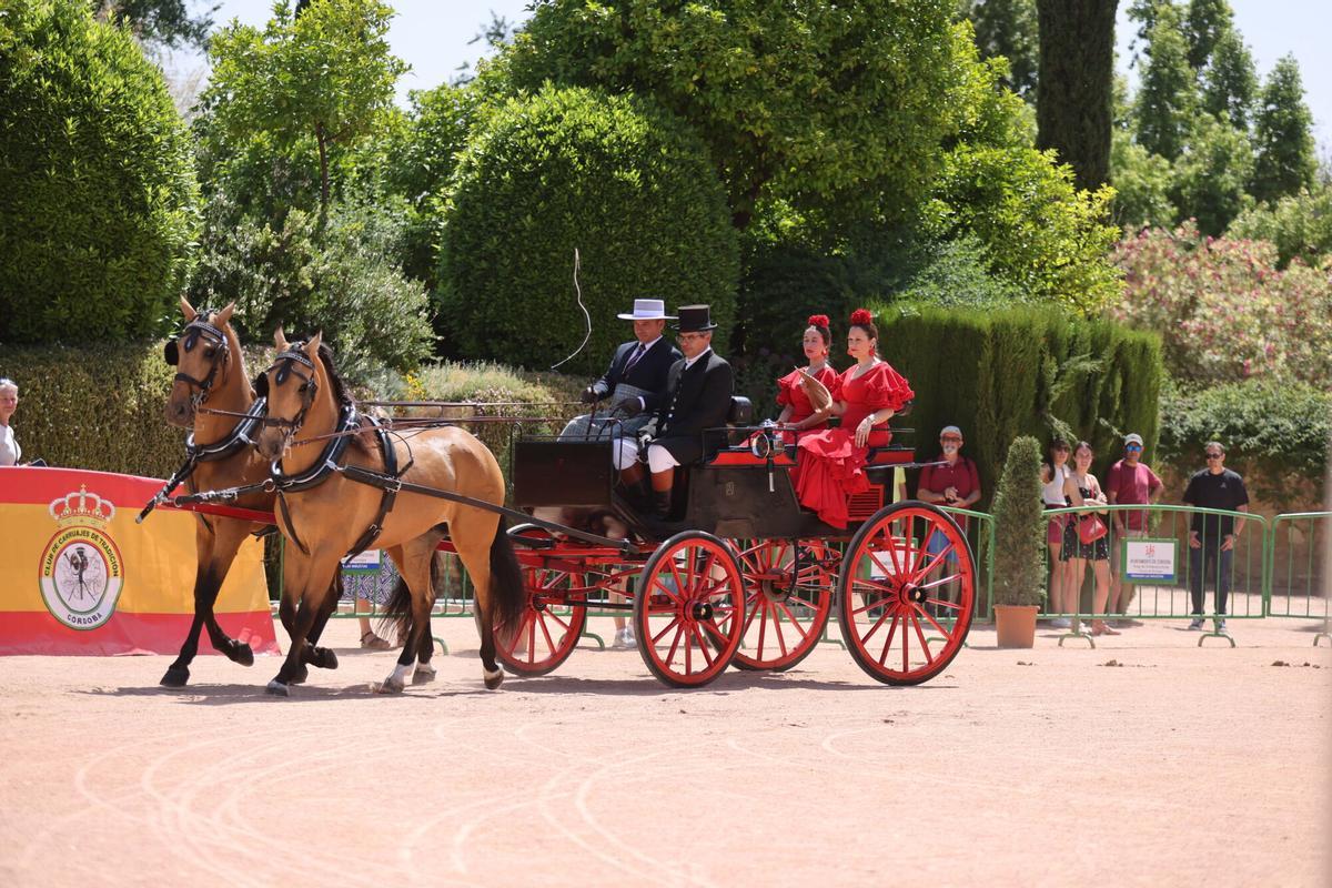 El arte ecuestre toma los Jardines del Alcázar de los Reyes Cristianos para dar el pistoletazo de salida a la Feria de Nuestra Señora de la Salud