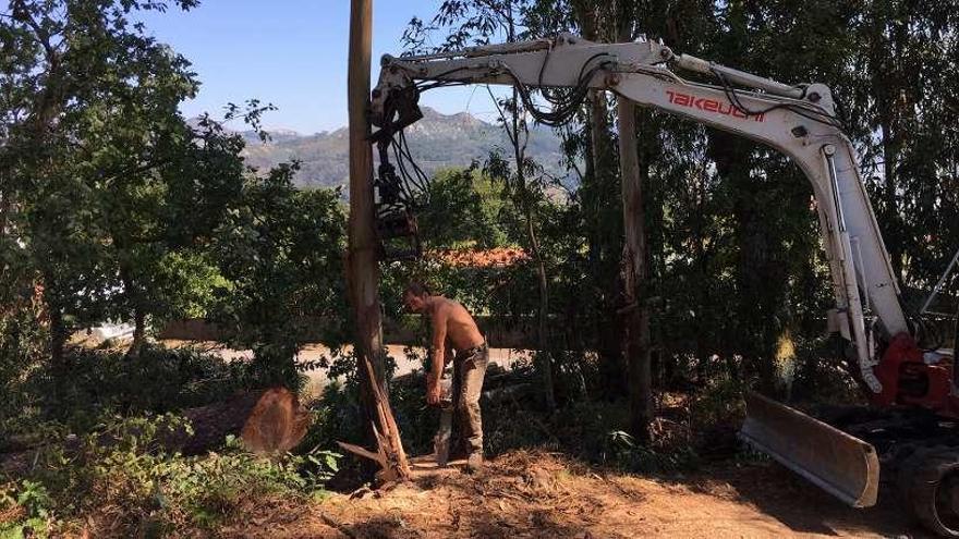 Un operario de la empresa talaba ayer árboles en la franja de seguridad de una parcela en Priegue.