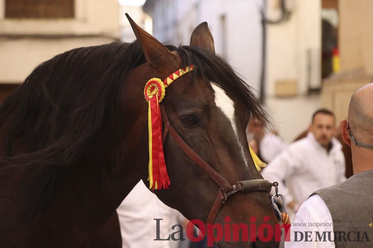 Concurso de caballo a pelo: pasacalles hasta el Hoyo en Caravaca