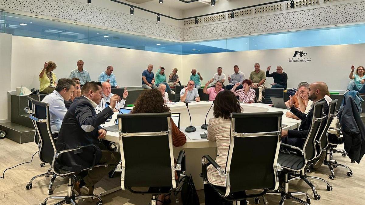 Reunión de la junta de gobierno del consorcio celebrada este lunes.