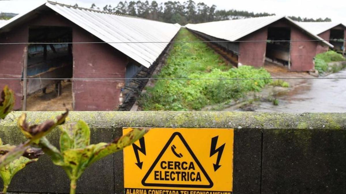 Imagen de la granja donde se produjo el brote, en Carral, A Coruña.