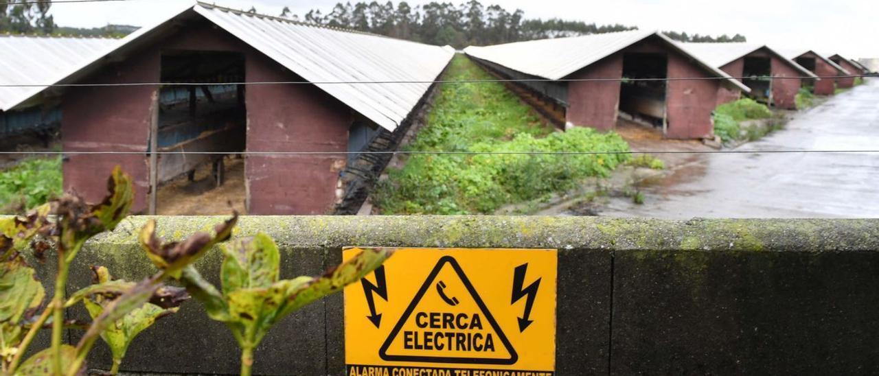 Imagen de la granja donde se produjo el brote, en Carral, A Coruña.