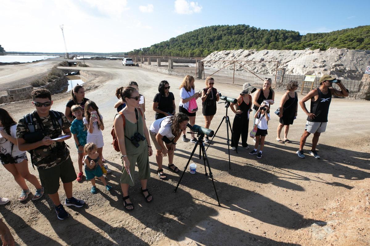Galería: Así es una visita guiada al Parc Natural de ses Salines