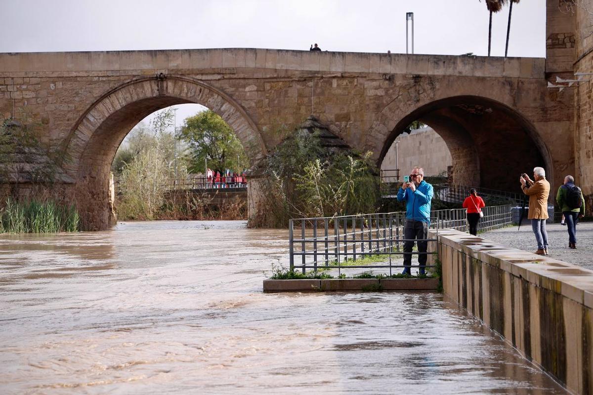 La crecida del Guadalquivir con las últimas lluvias pone a Córdoba en alerta