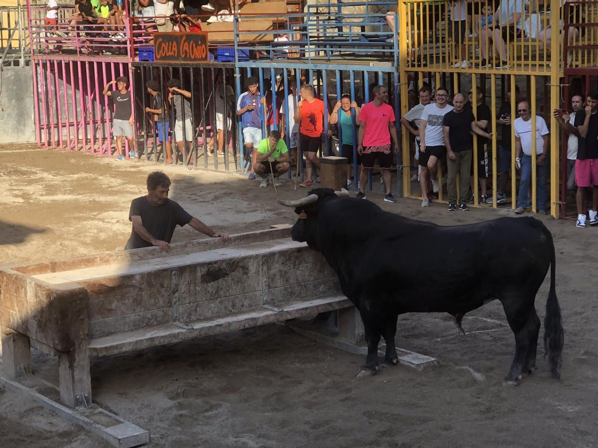 Exhibición taurina en Santa Magdalena.