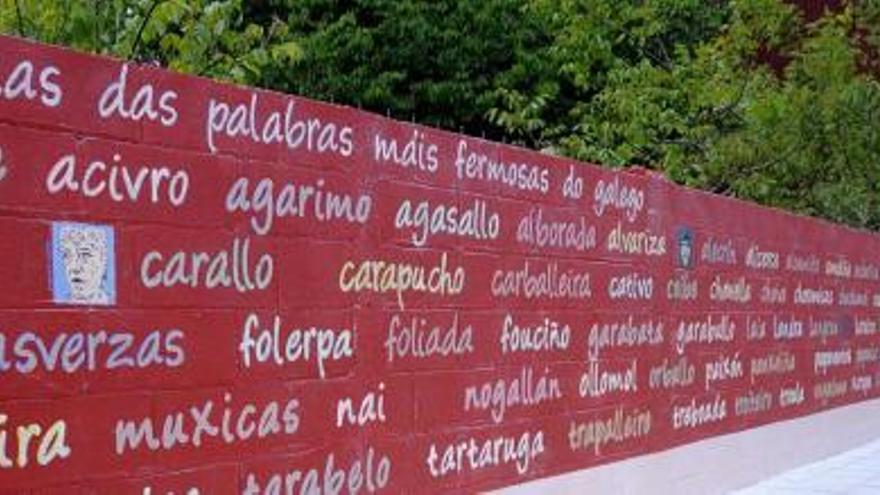 O novo mural da rúa Emilio Alonso Paz foi inaugurado onte á tardiña cun acto público ao que asistiron numerosos veciños.  // Bernabé/Javier Lalín