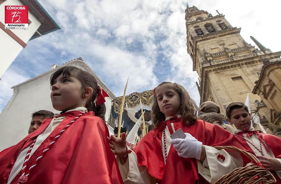 FOTOGALERÍA / Hermandad de Nuestro Padre Jesús de los Reyes en su Entrada Triunfal en Jerusalén