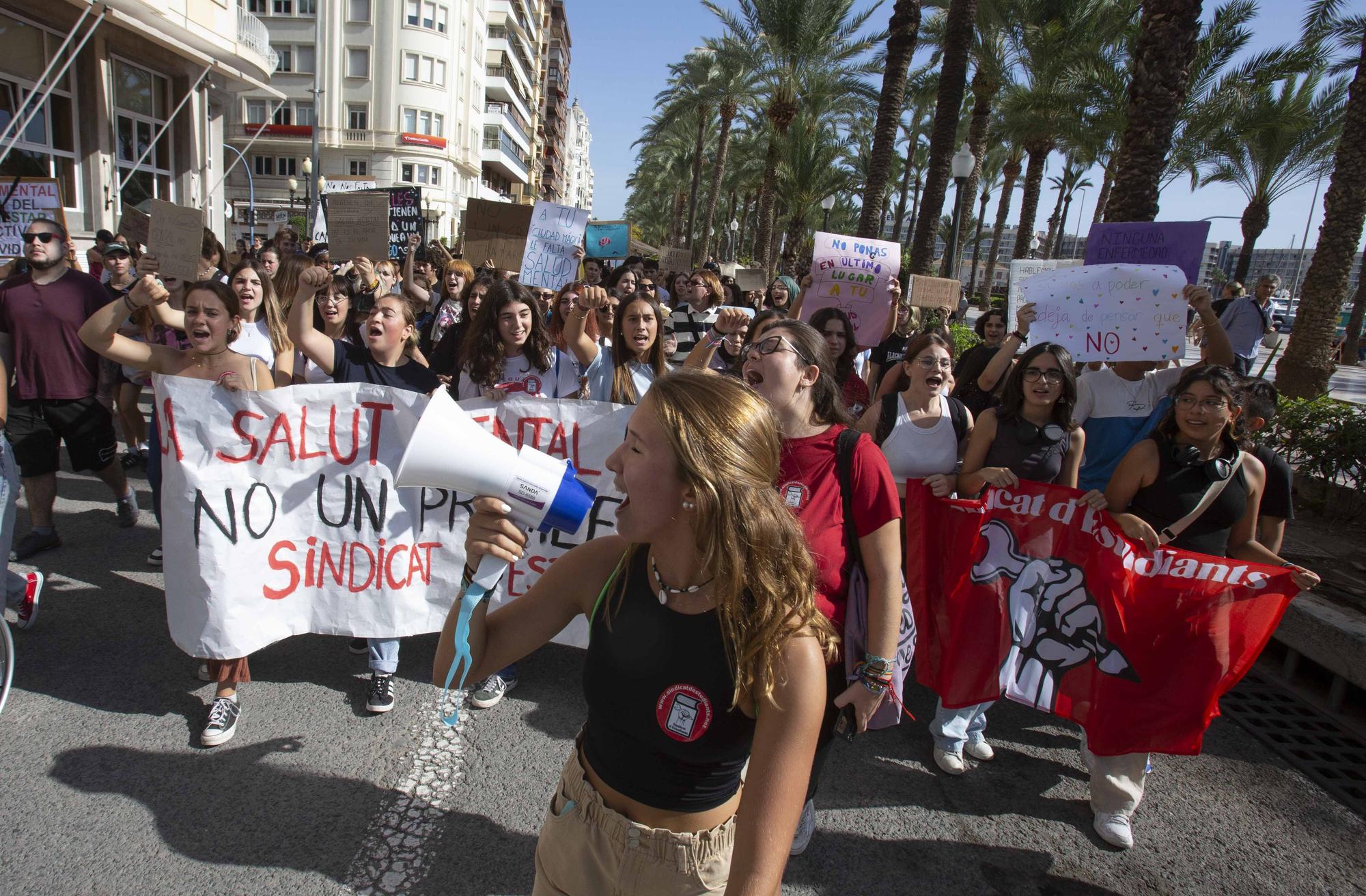 Estudiantes de Alicante reclamar más medios para la salud mental a Sanidad