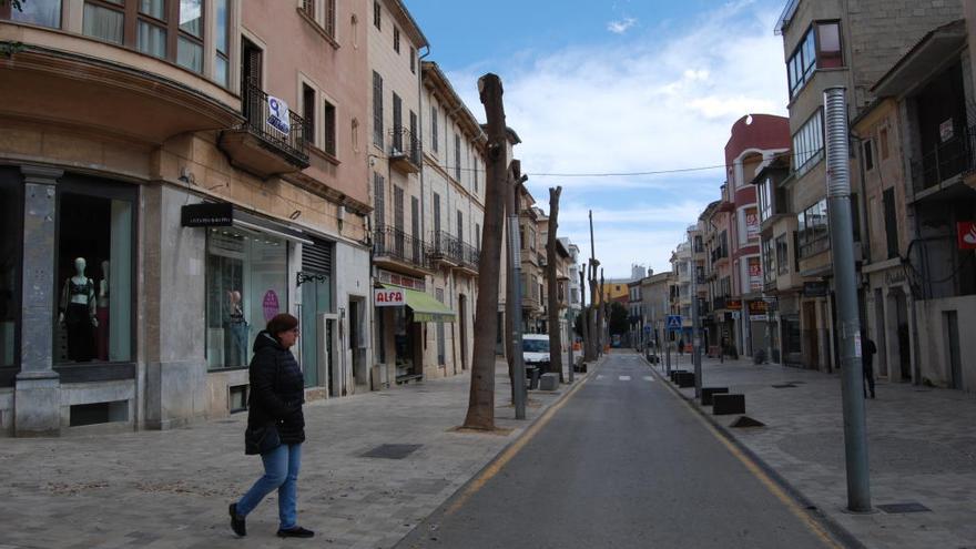 Las acacias de la calle Jaume Armengol se eliminan debido a su peligrosidad