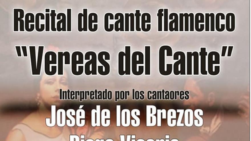 Recital flamenco &#039;Vereas del Cante&#039;