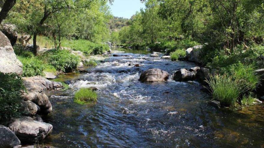 El agua sale a bolsa: ¿oportunidad o peligro?