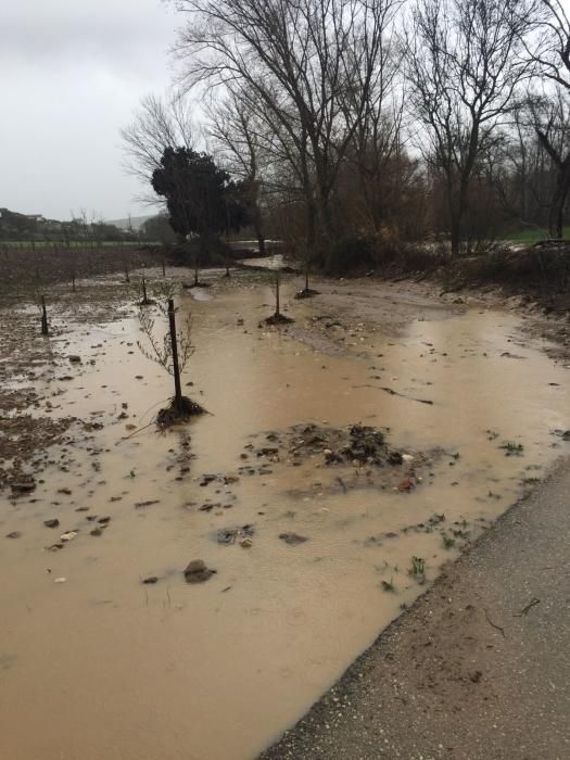 El río Guadalhorce, desbordado a la altura de Villanueva del Rosario