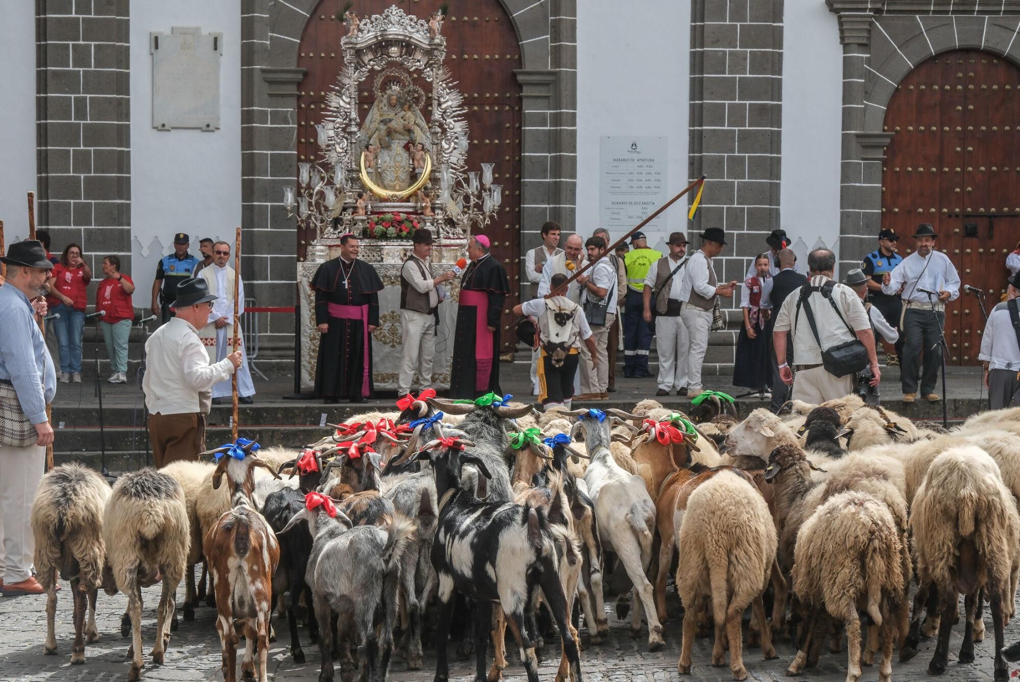 Ganado y ganaderos ante la Virgen del Pino.