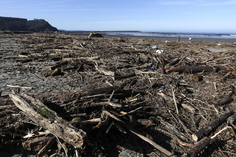 Basura acumulada en la playa de Los Quebrantos