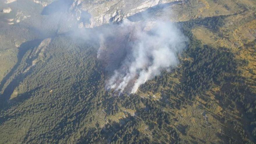 Un incendio quema diez hectáreas de pino en Tella