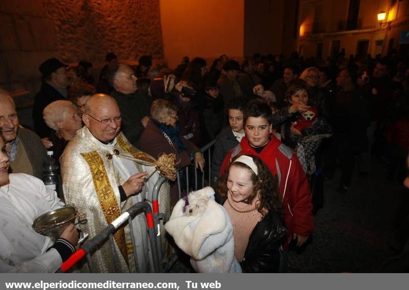 GALERÍA DE FOTOS -- Bendición de animales en Almassora