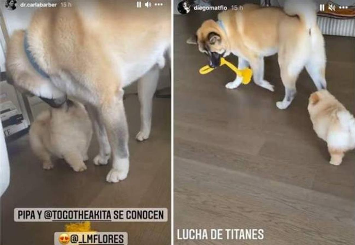 Carla Barber y Diego Matamoros pasan la tarde juntos