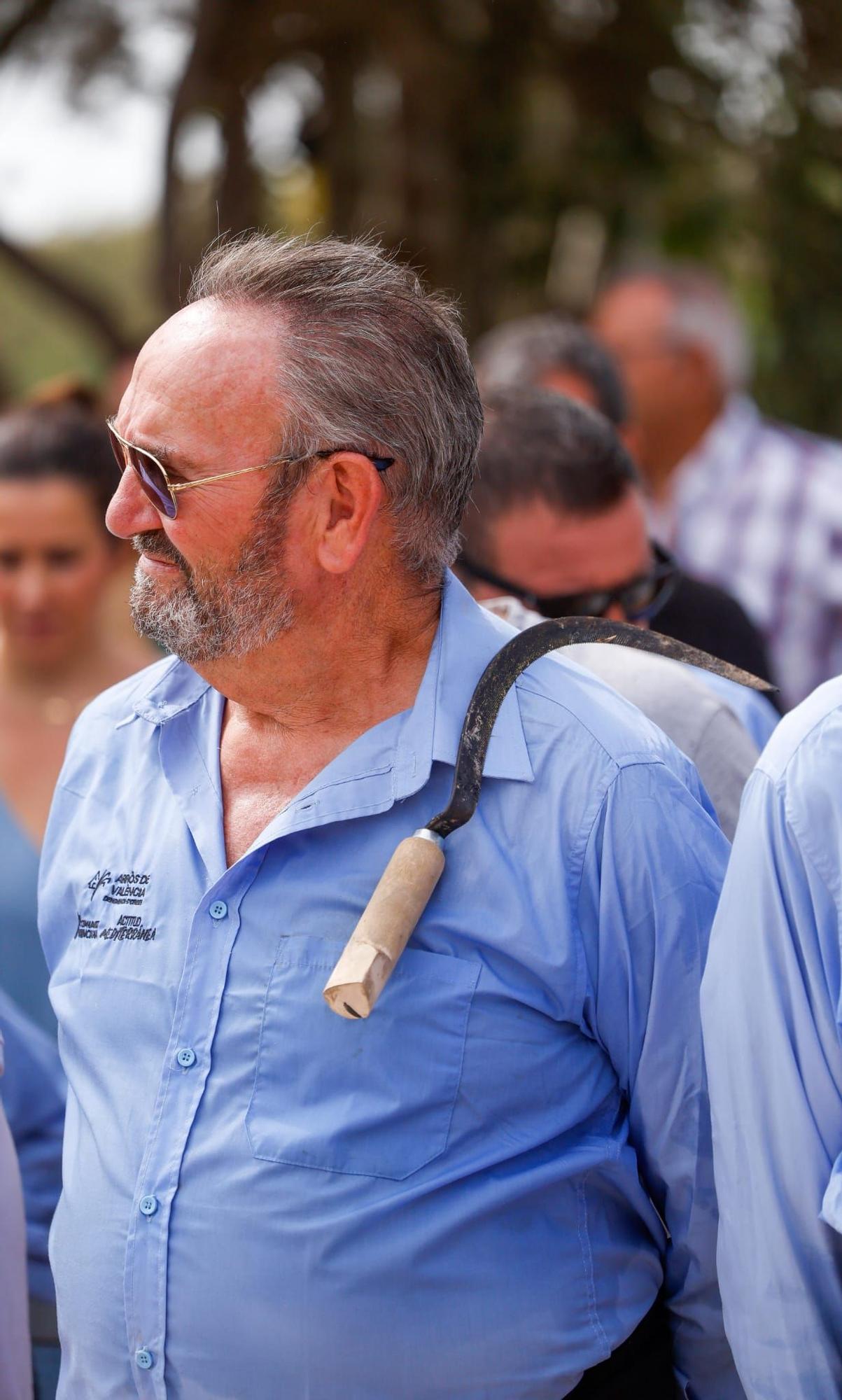 El puerto de Catarroja reúne a 5.000 personas en la Fiesta de la siega del arroz