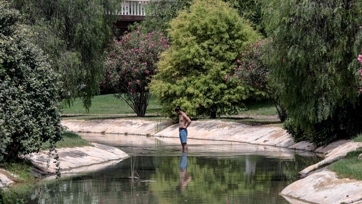 Un hombre se refresca en el río que recorre la Ciudad de las Artes y las Ciencias.